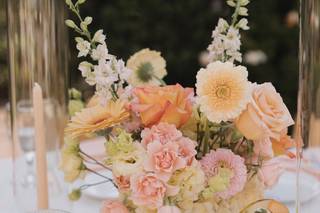 Taylor Nicole Events - 5