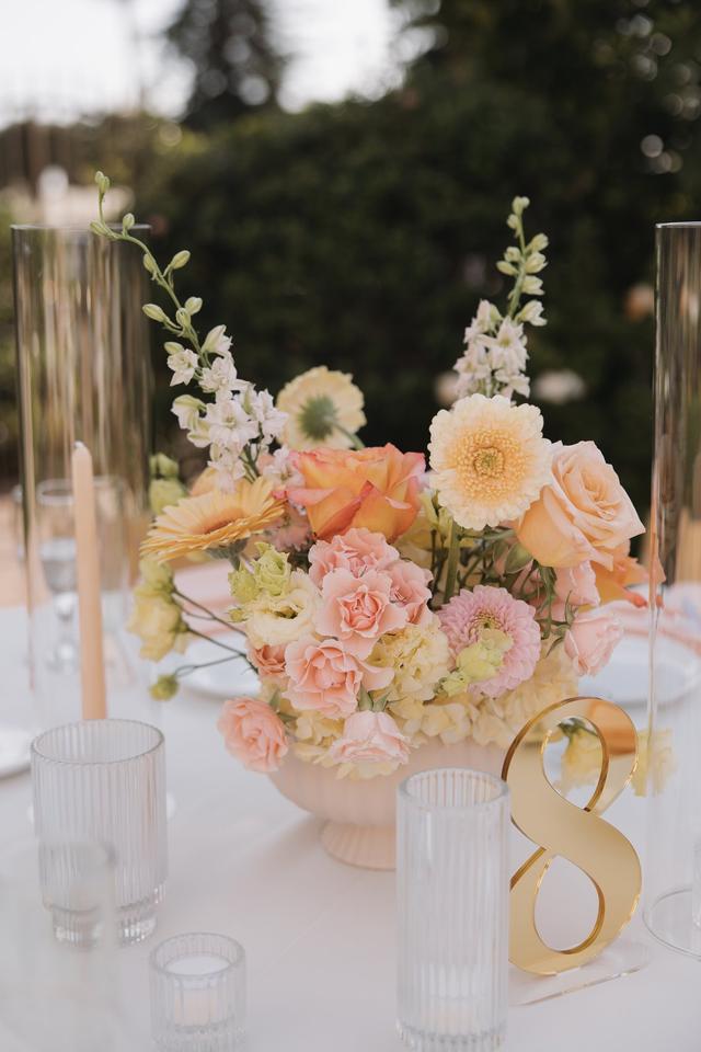 Taylor Nicole Events - 2