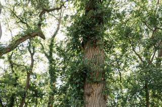 Busy B's Floral - 11