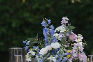 Violette's Flowers - 5