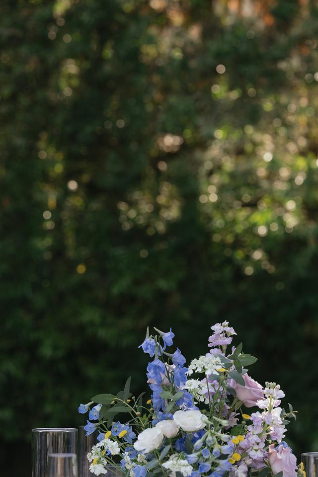 Violette's Flowers - 2