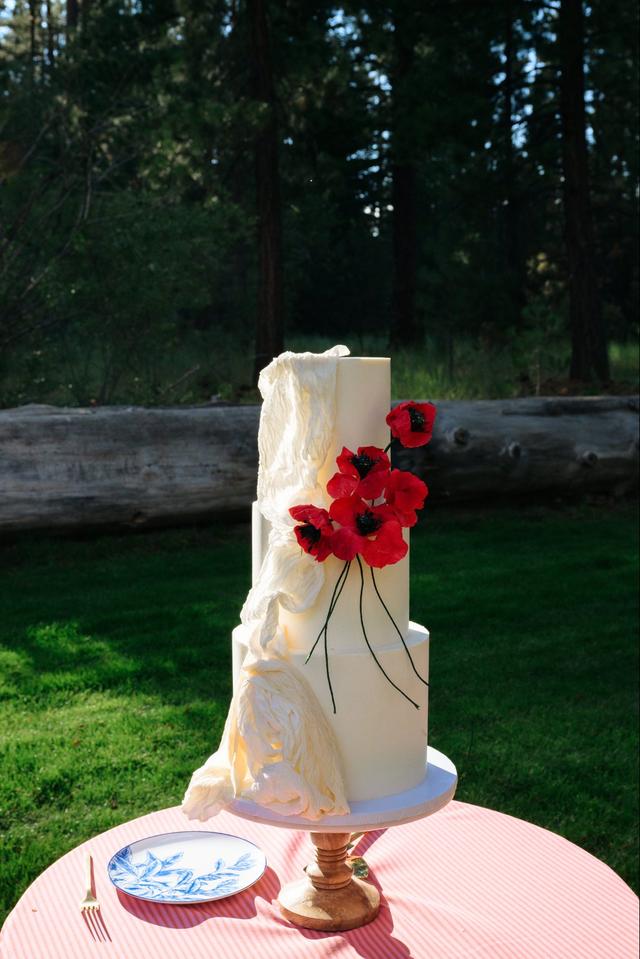 Lake Tahoe Cakes - 1