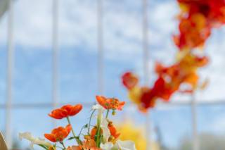 Tetiana Photography - 5