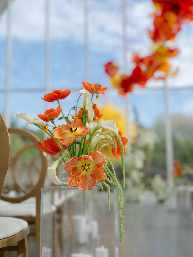 Tetiana Photography - 2