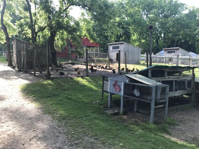 Benner's Farm - 4