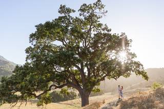 Wedding Nature Photography - 6