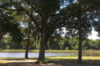 Forrest Pond Lodge - 50