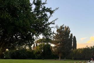 Dreamdust Wedding Planner and Events - 23