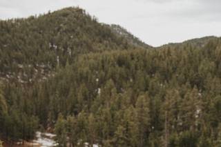 Rylee Marie Photography - 6