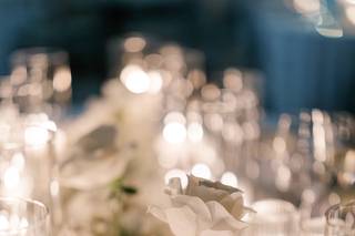 Daydream Floral - 15