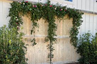 Harmony Weddings and Events - 55