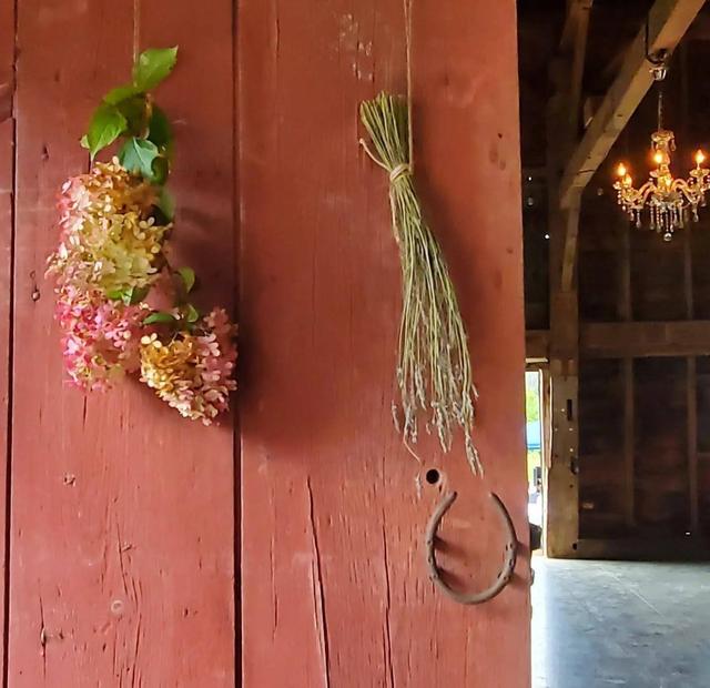 Dancing Tulip Floral Boutique - 3