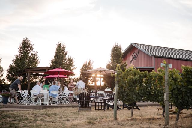 J Wrigley Vineyards - 1