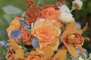 Living Sculpture Sanctuary - 10