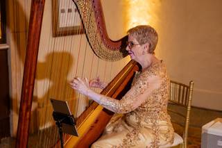 The Elegant Harp - 5