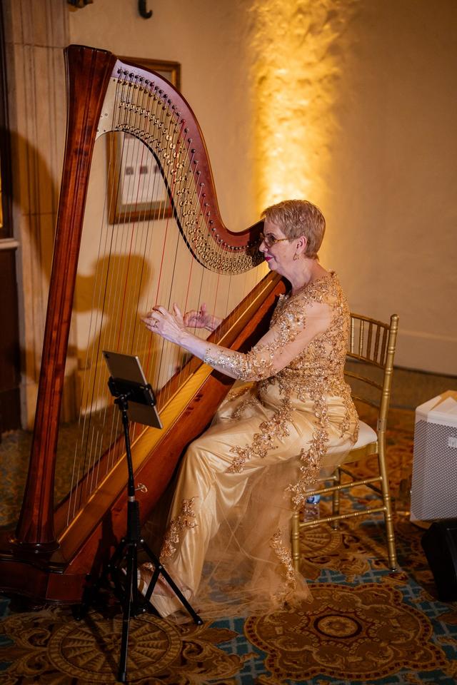 The Elegant Harp - 2