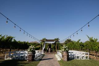 Alex & Jana Photography - 24