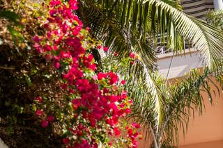 La Valencia Hotel - 5