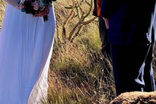 Cynthia Copeland Wedding Officiant - 9