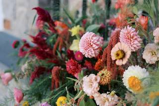 TWIG Gardens - 6