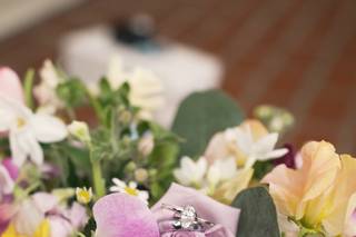 Harmony Pictures - 9