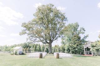 Amber Grove - 20