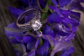 Daniel James Photography - 17