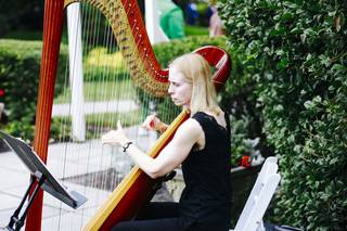 Harp By Request - 9