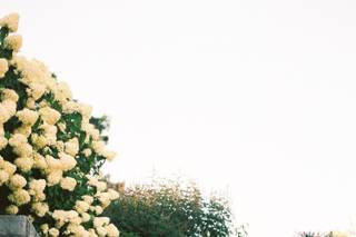 Good Graces Events - 6