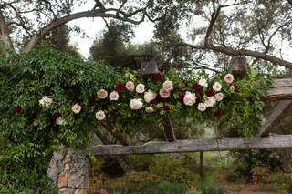 Bluebell Florals - 13