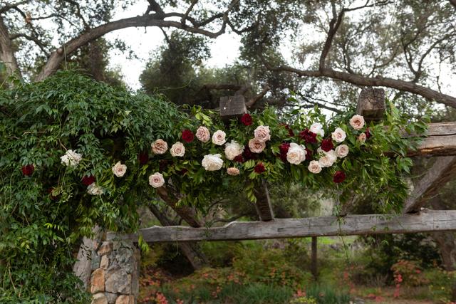 Bluebell Florals - 4