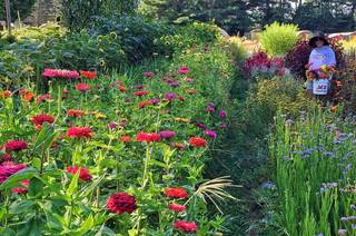 Cedar Circle Farm - 58