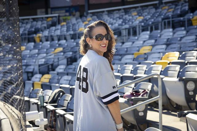 Securian Financial Club at CHS Field - 3