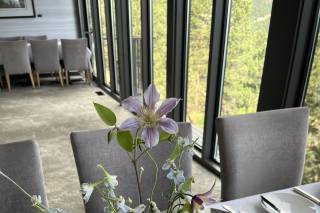 Boulder Blooms - 8
