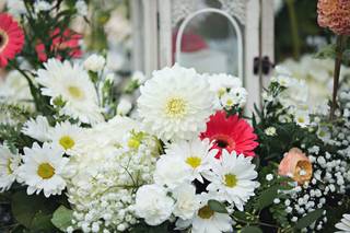 University Florist - 24
