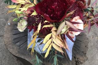 Donna Rose Gardner - Honey In The Heart Ceremonies - 27