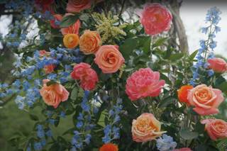 Rainbow Roots Floral Co. - 8