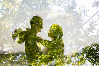 Jeannine Marie Photography - 5