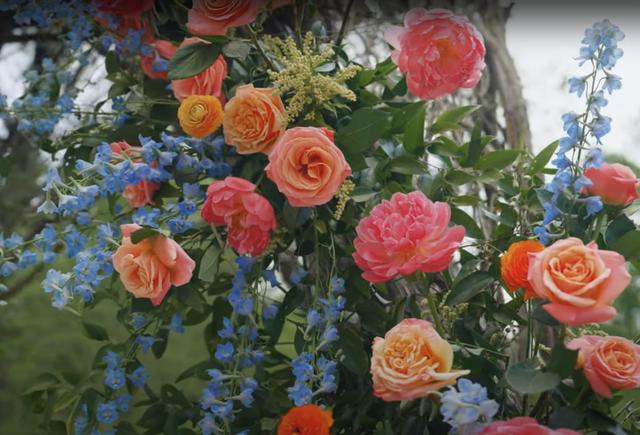 Rainbow Roots Floral Co. - 3
