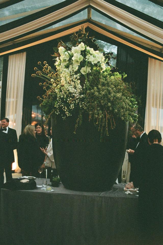 Petaloso - 4