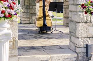 Professional Harpist - 9