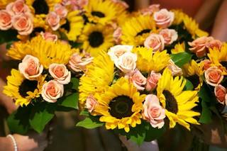 Danielson Flowers - 73