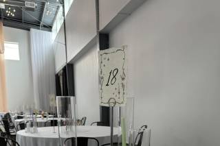 The Wild Orchid - 5