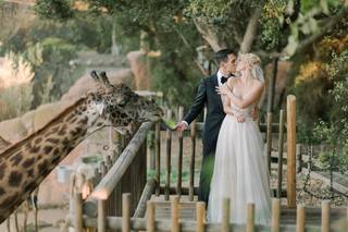 Lucas Rossi Photography - 12