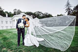 Carl Elixir Studio - 82