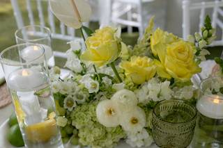 Flora Designs - 5