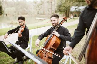 Marvelous Strings - 12