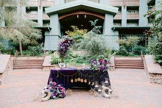 Disneyland Hotel - 26