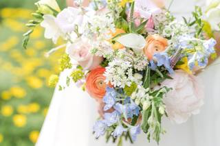 Anna Grace Photography - 7