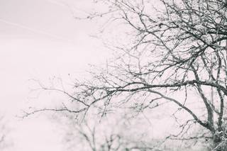 Misty Ranae Photography - 21